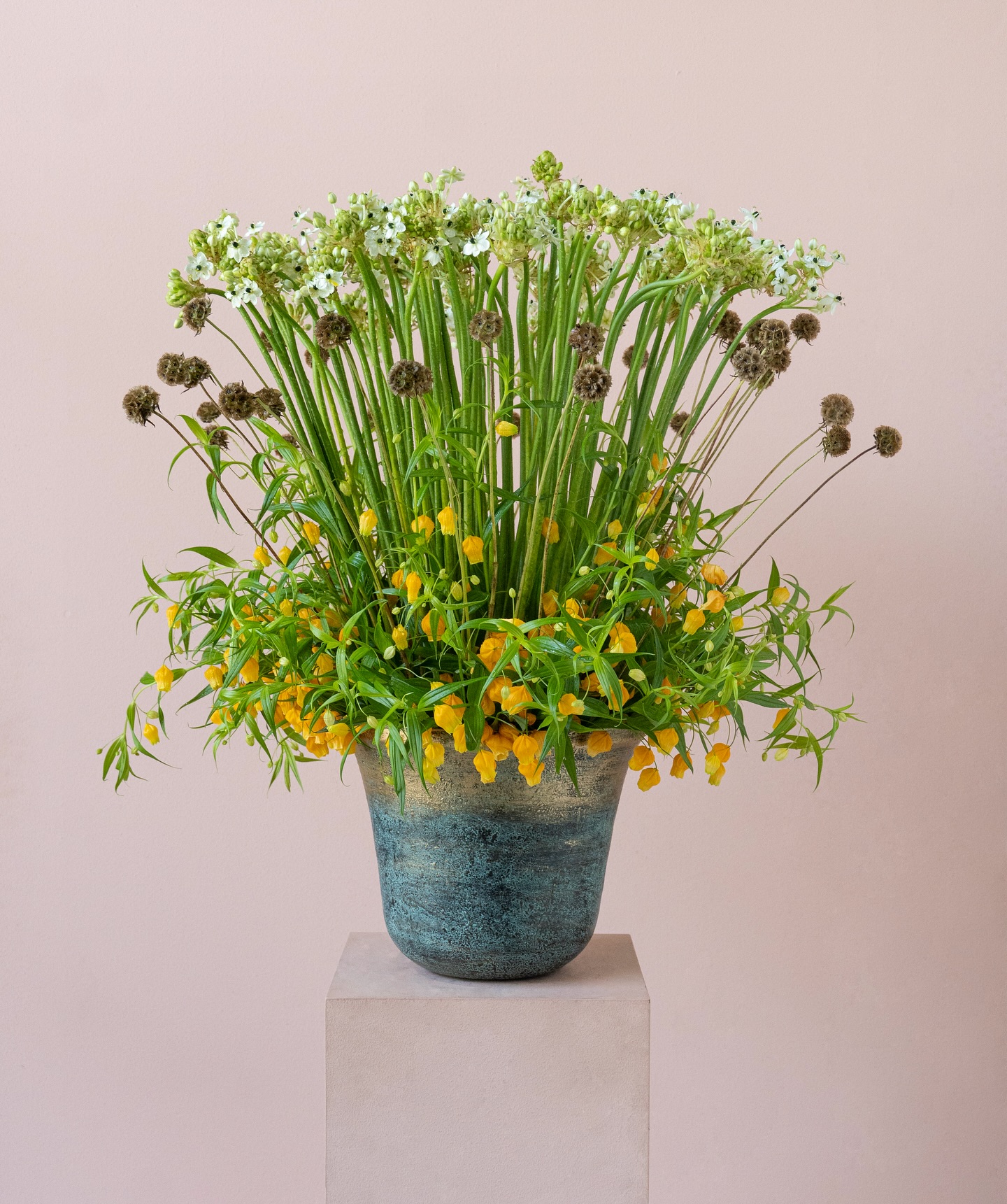 This fusion of delicate white blooms and cheerful yellow flowers, set in a stunning vase, brightens any room effortlessly 🌼🍋🌿

#AliaFlowers #FloralArrangement